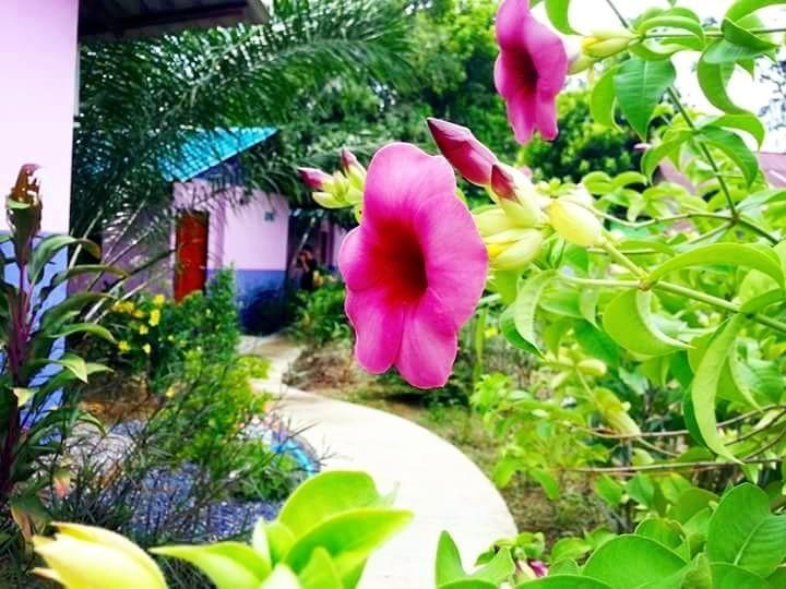 Bangnu River Resort Pangnga Kültér fotó